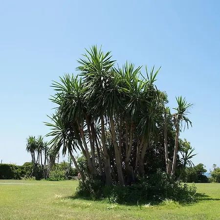 Akti Anastasia Hotel Akharavi